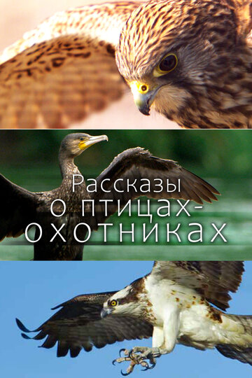 Постер тв-шоу Рассказы о птицах-охотниках 2011 года Постер тв-шоу Рассказы о птицах-охотниках 2011 года