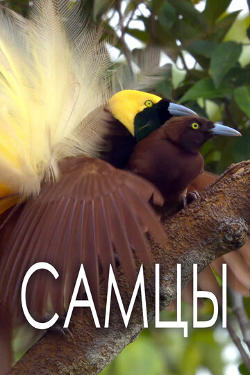 Постер тв-шоу Самцы 2019 года Постер тв-шоу Самцы 2019 года