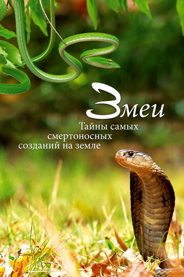 Змеи. Тайны самых смертоносных созданий на земле (фильм, 2014)