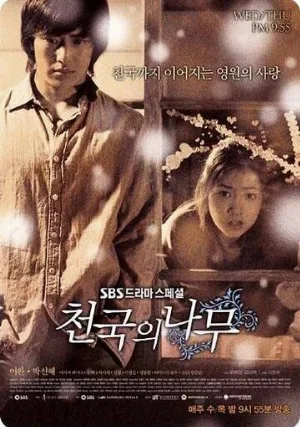 Райское дерево (сериал, 2006)