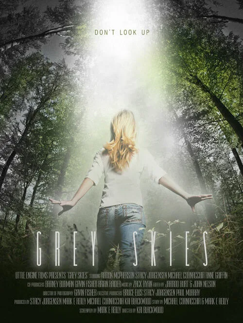 Серые небеса (фильм, 2010) Серые небеса (фильм, 2010)