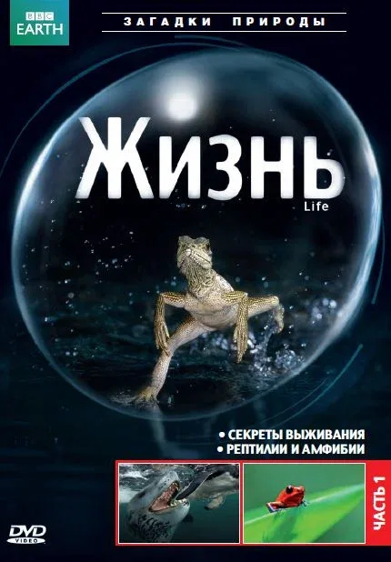 BBC: Жизнь (тв-шоу, 2009)