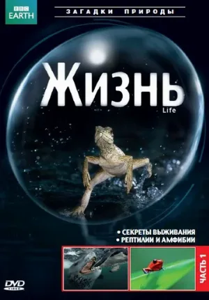 BBC: Жизнь (тв-шоу, 2009) BBC: Жизнь (тв-шоу, 2009)