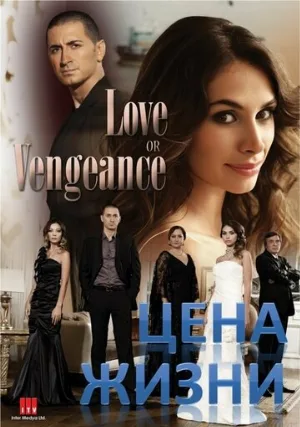 Цена жизни (сериал, 2009)