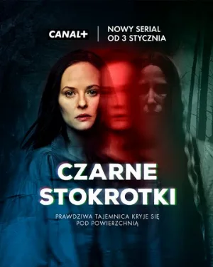 Чёрные маргаритки (сериал, 2025)