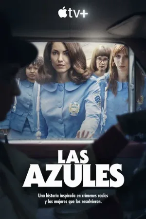 Женщины в синем (сериал, 2024)