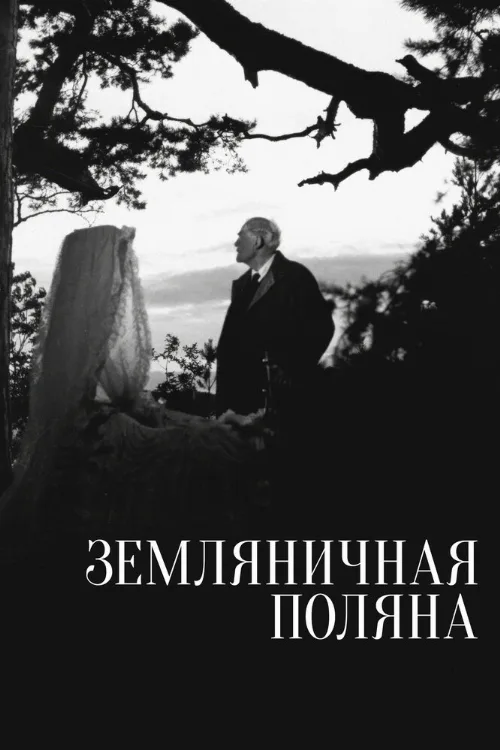 Земляничная поляна (фильм, 1957) Земляничная поляна (фильм, 1957)