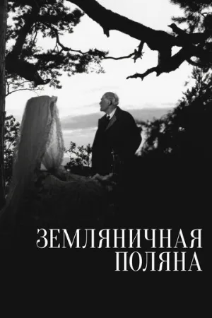 Земляничная поляна (фильм, 1957)