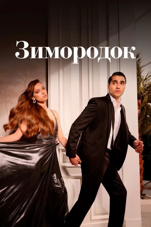 Зимородок (сериал, 2022) Зимородок (сериал, 2022)
