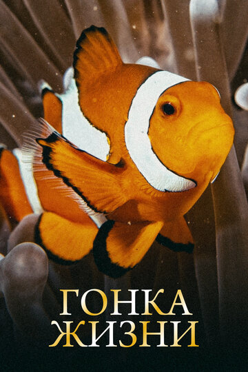 Постер тв-шоу Гонка жизни 2015 года Постер тв-шоу Гонка жизни 2015 года