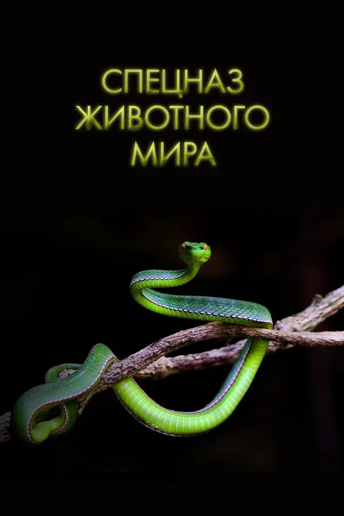 Спецназ животного мира (тв-шоу, 2018) Спецназ животного мира (тв-шоу, 2018)