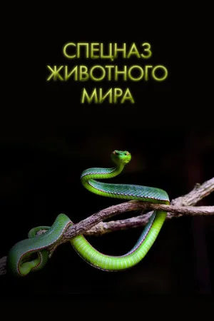 Спецназ животного мира (тв-шоу, 2018)
