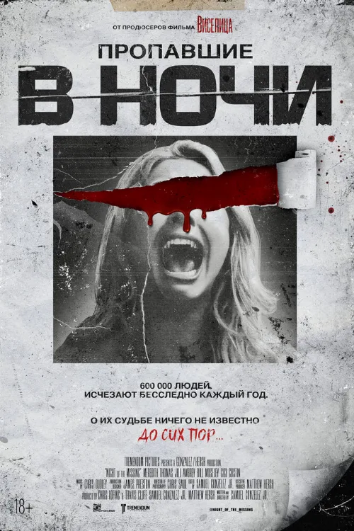 Пропавшие в ночи (фильм, 2023)