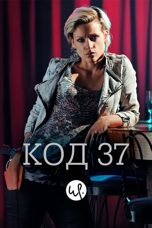 Код 37: Отдел секс-преступлений (сериал, 2009)