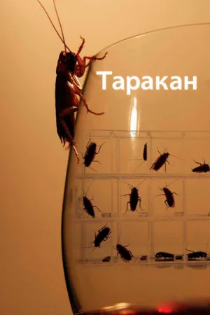 Таракан (тв-шоу, 2010) Таракан (тв-шоу, 2010)