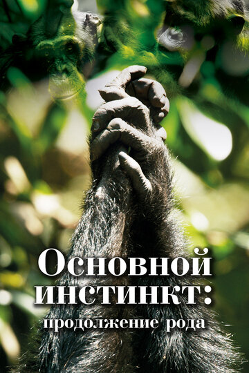 Постер тв-шоу Основной инстинкт. Продолжение рода 2021 года Постер тв-шоу Основной инстинкт. Продолжение рода 2021 года