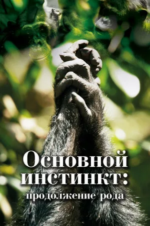 Основной инстинкт. Продолжение рода (тв-шоу, 2021) Основной инстинкт. Продолжение рода (тв-шоу, 2021)
