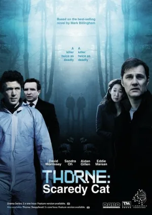 Торн: Пуганая ворона (сериал, 2010)