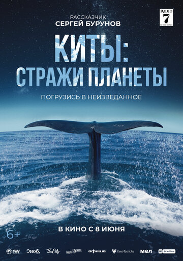 Постер фильма Киты: Стражи планеты 2023 года Постер фильма Киты: Стражи планеты 2023 года