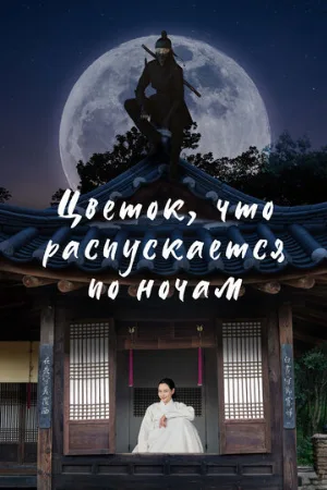 Цветок, что распускается по ночам (сериал, 2024)