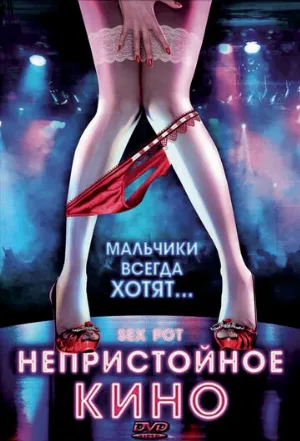 Непристойное кино (фильм, 2009)