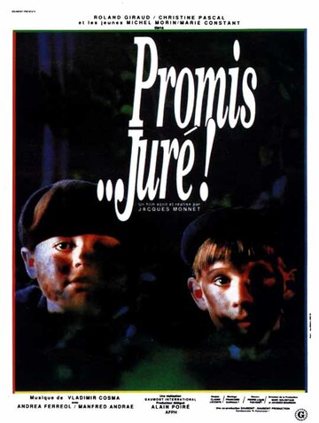 Клянусь… господин судья! (фильм, 1987)
