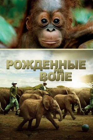 Рожденные на воле (фильм, 2011)