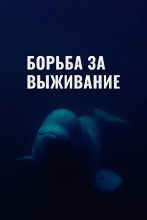 Борьба за выживание (тв-шоу, 2017)