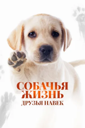 Собачья жизнь: Друзья навек (фильм, 2023)