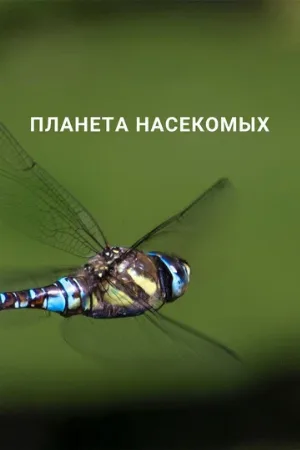 Планета насекомых (сериал, 2022)