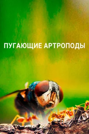 Пугающие артроподы (тв-шоу, 2021)
