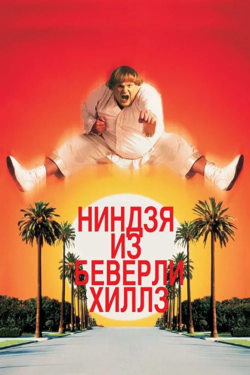 Ниндзя из Беверли-Хиллз (фильм, 1997) Ниндзя из Беверли-Хиллз (фильм, 1997)
