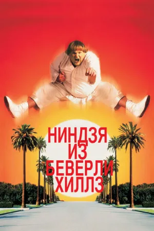 Ниндзя из Беверли-Хиллз (фильм, 1997)
