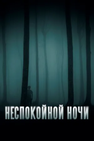 Неспокойной ночи (фильм, 2023)