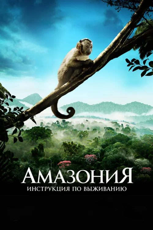 Амазония: Инструкция по выживанию (фильм, 2013) Амазония: Инструкция по выживанию (фильм, 2013)