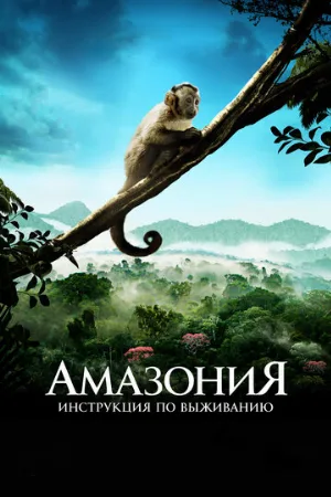 Амазония: Инструкция по выживанию (фильм, 2013)