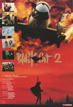 Чёрная кошка 2 (фильм, 1992)