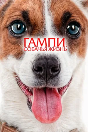 Гампи. Собачья жизнь (фильм, 2024)