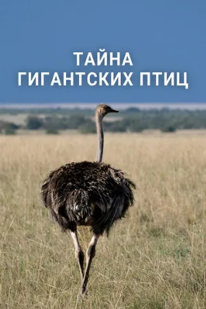 Тайна гигантских птиц (фильм, 2024)