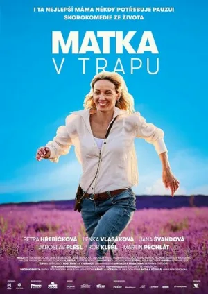 Мать в ловушке (фильм, 2024)