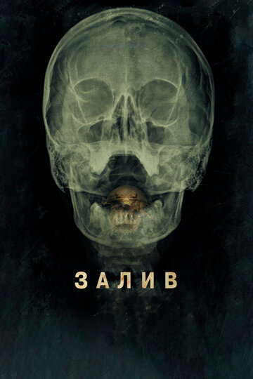 Фильм Залив (2012) смотреть онлайн