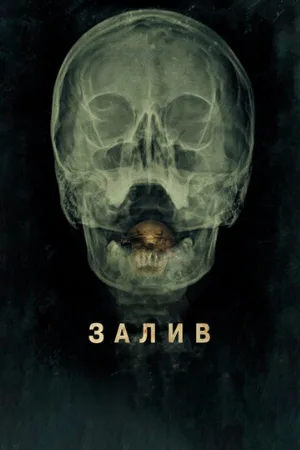 Залив (фильм, 2012)