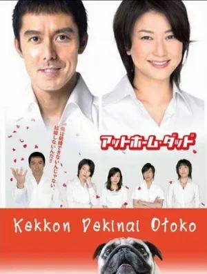Убеждённый холостяк (сериал, 2006)