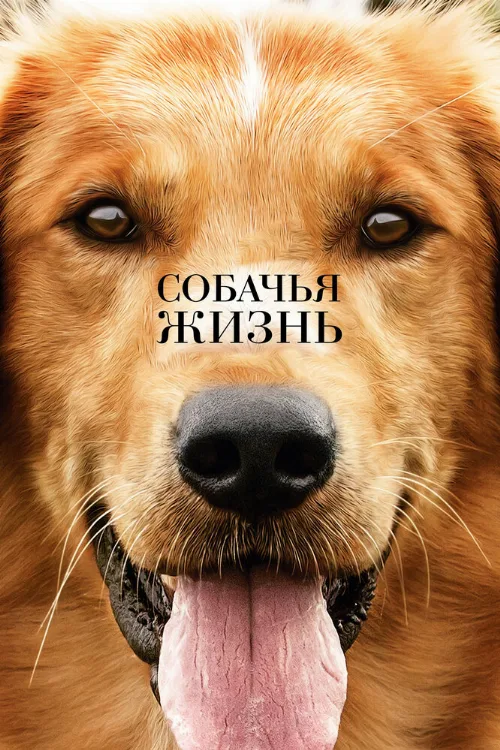 Собачья жизнь (фильм, 2017) Собачья жизнь (фильм, 2017)