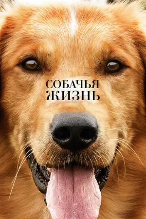 Собачья жизнь (фильм, 2017)