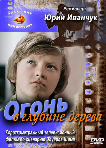 Огонь в глубине дерева (фильм, 1978) Огонь в глубине дерева (фильм, 1978)