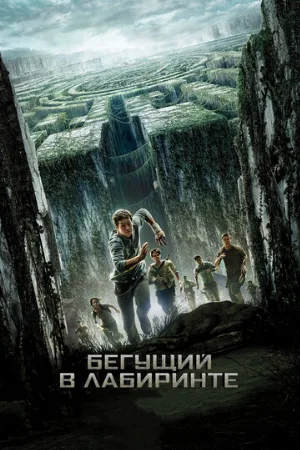 Бегущий в лабиринте (фильм, 2014)
