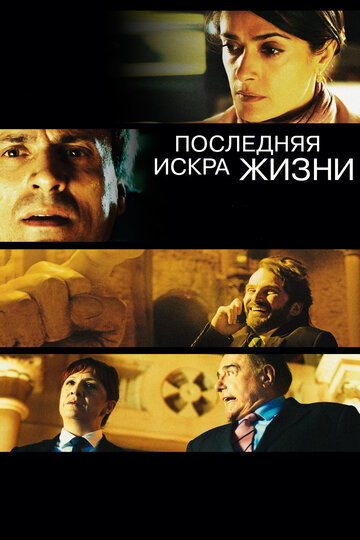 Последняя искра жизни (фильм, 2011)