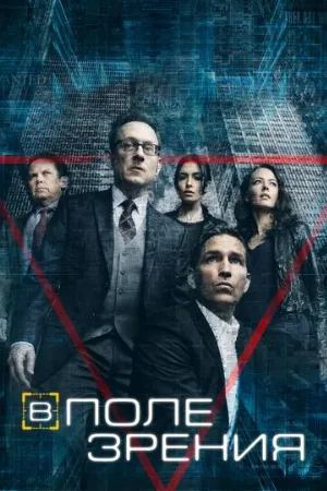 В поле зрения (сериал, 2011)