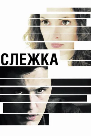 Слежка (фильм, 2012)